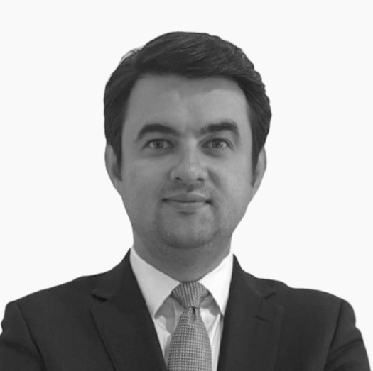 CRISTIAN MOCANU - Finance & Legal